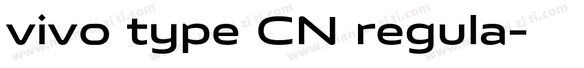 vivo type CN regula字体转换